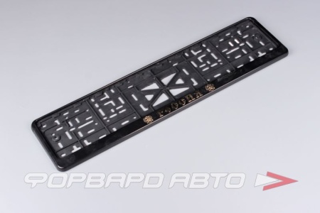 Купить Накладка под номер с защелкой, пластиковая (с гербом,золото) SKYWAY S04102005