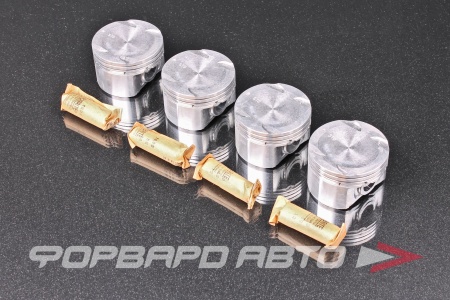 Купить Поршни (к-т 4 шт) ZY,Z6 TEIKIN 42211 STD