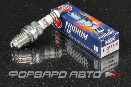 Купить Свеча зажигания NGK 2668