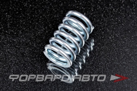 Купить Пружина крепления глушителя d17/24*36мм FA1 135-905