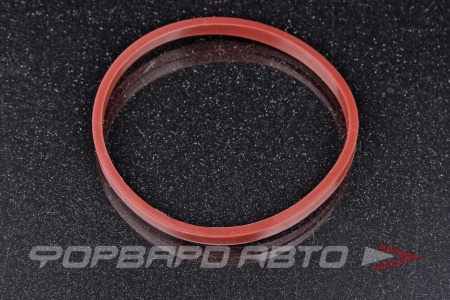 Купить Прокладка корпуса дроссельной заслонки ROSTECO 20789