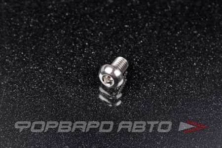 Купить Винт M6*1*10 титановый полукруглая головка, внутренний шестигранник FORA TITANIUM ISO7380-6*10Ti