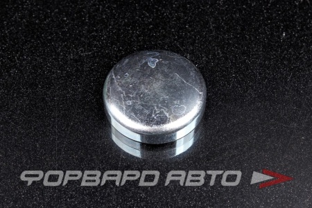 Купить Заглушка блока двигателя WPw-40мм  