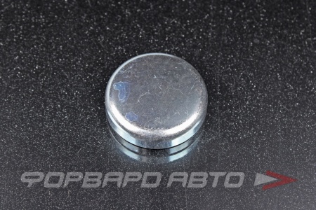 Купить Заглушка блока двигателя WPw-35мм  