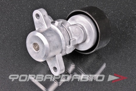 Купить Натяжитель приводного ремня (Nissan Teana, Murano) MILES AG00223