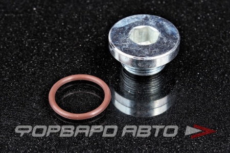 Купить Пробка сливная 22*1,5 масляного поддона с шайбой, под шестигранник FA1 257.856-U-11