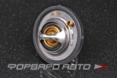 Купить Термостат GATES TH25782G1