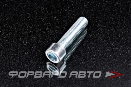 Купить Винт цилиндр. с внутренним шестигранником М12*50 DIN912 оцинков.  