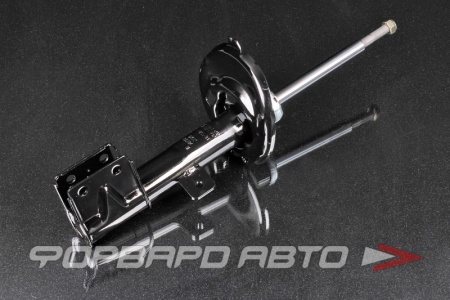 Купить Амортизатор передний, левый MILES DG11465-01