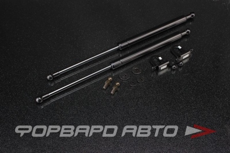 Купить Амортизаторы капота TOYOTA Corolla 93-97 AUTOBAHN88 