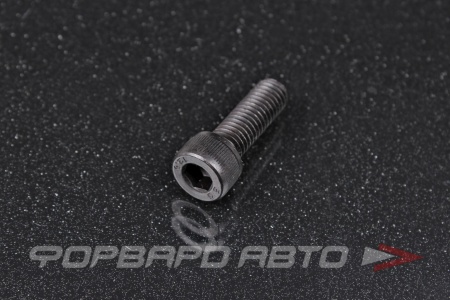 Купить Винт цилиндр. с внутренним шестигранником М8*25 DIN912 высокопр. пр.12,9  