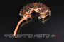 Диодный мост (Toyota Aristo, Crown, Mark 2, Soarer, Supra) TESLA TECHNICS TT34709