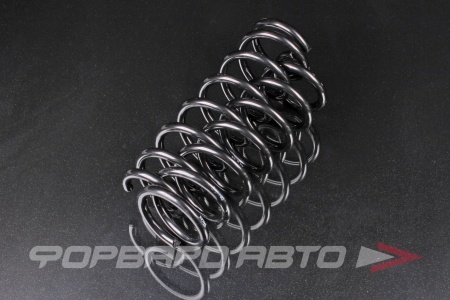 Купить Пружина задняя прав/лев MILES DB43028