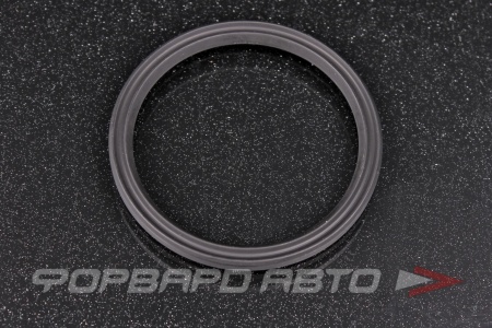 Купить Кольцо уплотнительное VAG 038 103 196 B