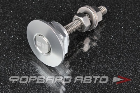 Купить Замок-защелка быстросъемный 31 мм алюминий AUTOBAHN88 