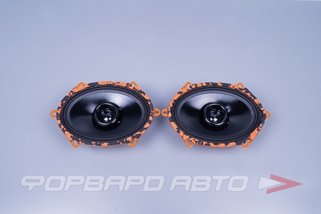 Купить Автоакустика GryphonLite57 (13*18см, 60Вт, 1-полос, эстрадная) DL Audio GryphonLite57