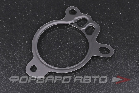 Купить Прокладка корпуса ТНВД MAZDA PY01-10-193A