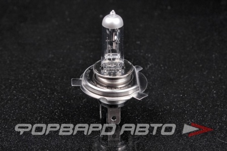 Купить Лампа H19 12V 60/55W OSRAM 64181L