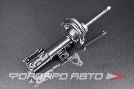 Купить Амортизатор передний, правый MILES DG21842-01