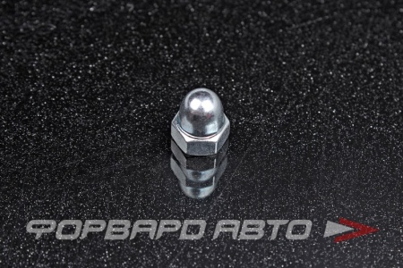 Купить Гайка шестигранная М6*1 колпачковая оцинк. <> 565К-М6