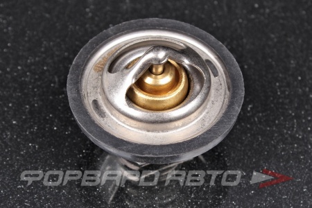 Купить Термостат ERA 350048A