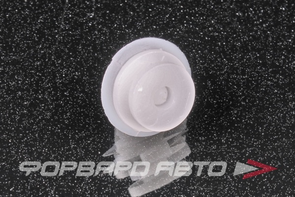 Клипсы ASAM 30921