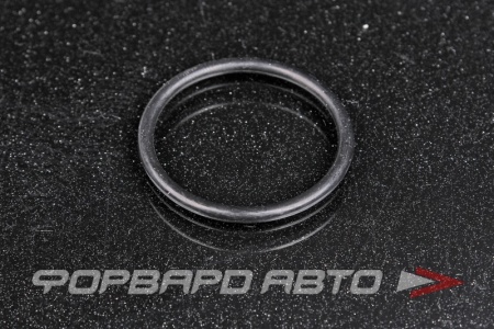 Купить Кольцо уплотнительное фильтра АКПП VAG 0C8 325 443