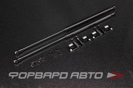 Купить Амортизаторы капота MITSUBISHI Evolution 7/8/9 AUTOBAHN88 