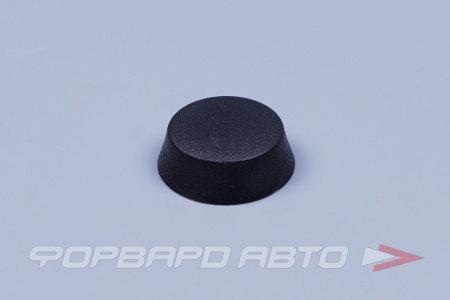 Купить Заглушка болта ремня безопасности ВАЗ ПЛАСТИК 