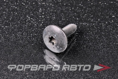 Купить Болт М6*1,0*20  TORX RENAULT 77 03 008 162