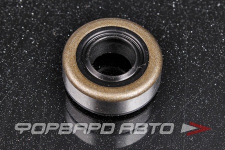 Купить Сальник высокого давления 9*19*7 1PMA TCS F-01162