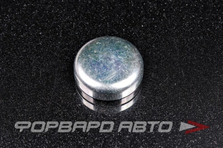 Купить Заглушка головки блока цилиндра D30 NISSAN 00933-1301A