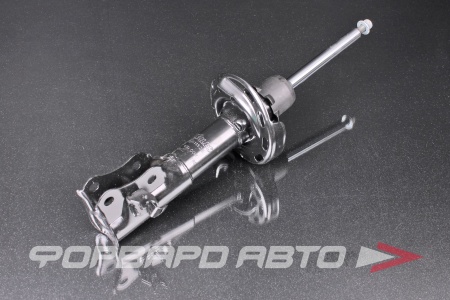 Купить Амортизатор передний, левый MILES DG11325