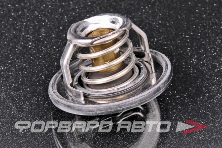 Купить Термостат RENAULT 212007668R