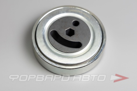 Купить Ролик приводного ремня (Suzuki Grand Vitara, Escudo) CARBERRY 55CA73