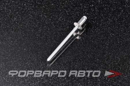 Купить Заклепка лючка бензобака TOYOTA 90269-03002