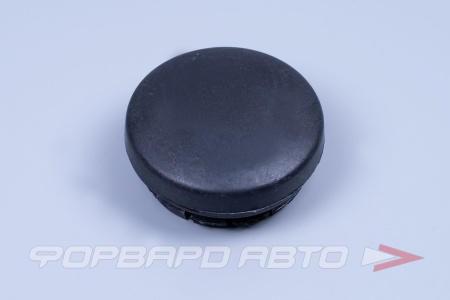 Купить Колпачок ступицы ВАЗ 2110-2170 пластик Сызрань 2110-3104065