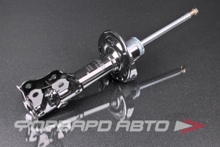 Купить Амортизатор передний, левый MILES DG11619