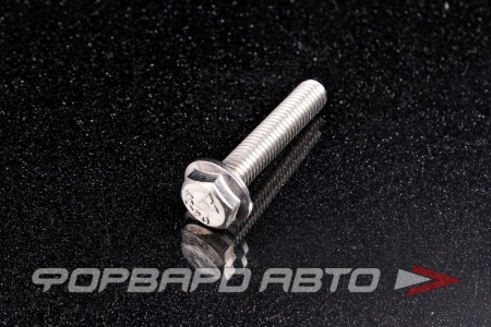 Купить Болт М8*1,25*40 ДИН 6921 А2 нерж. шестигр. гол. с фланцем <> 