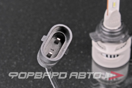 Купить Лампа светодиодная 12-24V HIR2 (PX22d) 6000K (к.уп.2 шт.) Range Performance Advanced LED NARVA 18186