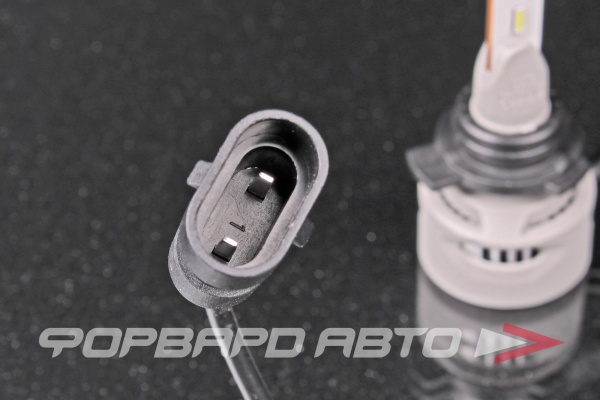 Лампа светодиодная 12-24V HIR2 (PX22d) 6000K (к.уп.2 шт.) Range Performance Advanced LED NARVA 18186