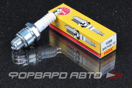 Купить Свеча зажигания NGK 1098