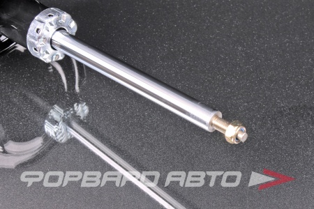 Купить Амортизатор передний, левый MILES DG11073-01