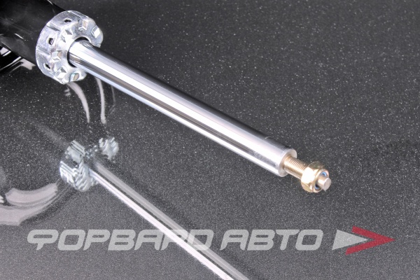 Амортизатор передний, левый MILES DG11073-01