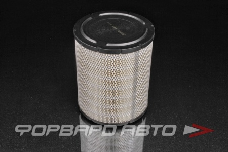 Купить Фильтр воздушный AZUMI A24579