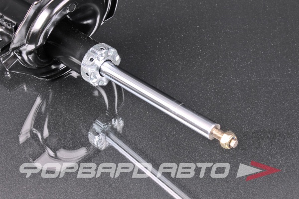 Амортизатор передний, левый MILES DG11074