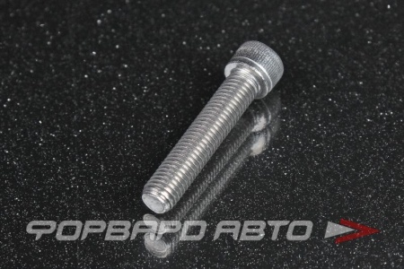 Купить Болт хомута фланца Wastegate TIAL CLAMP BOLT