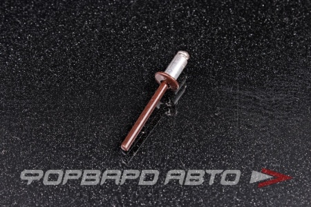 Купить Заклепка  4,8*10 вытяжная алюминий/сталь RAL8017 темно-коричневый  
