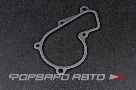Купить Прокладка помпы HYUNDAI / KIA 25124-2E000