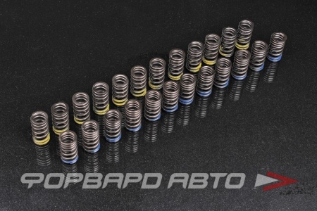 Купить Пружины клапанов NISSAN GT-R, VR38DETT TOMEI 